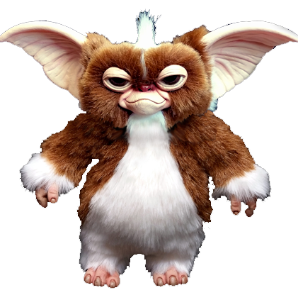 Cute furry Mogwai. Looks like a little Teddy bear